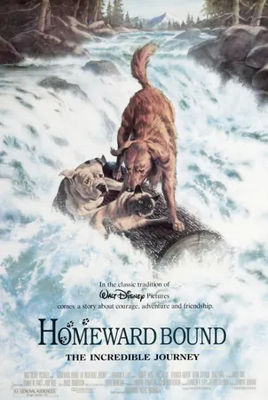Homeward Bound The Incredible Journey (1993) 2 หมา 1 แมว ใครจะพรากเราไม่ได้